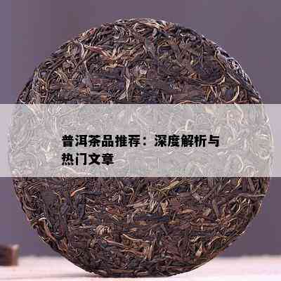 普洱茶品推荐：深度解析与热门文章