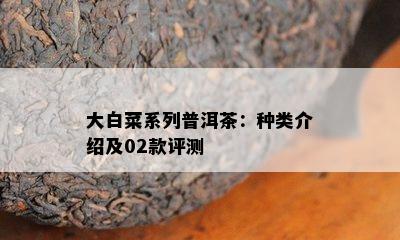 大白菜系列普洱茶：种类介绍及02款评测