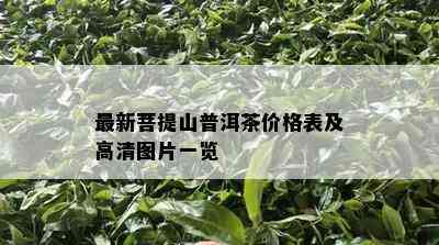 最新菩提山普洱茶价格表及高清图片一览