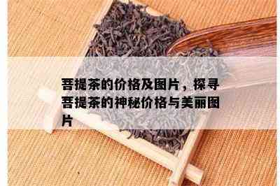 菩提茶的价格及图片，探寻菩提茶的神秘价格与美丽图片