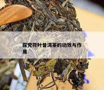 探究荷叶普洱茶的功效与作用