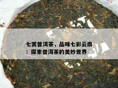 七赏普洱茶，品味七彩云南：探索普洱茶的美妙世界