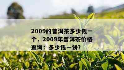 2009的普洱茶多少钱一个，2009年普洱茶价格查询：多少钱一饼？