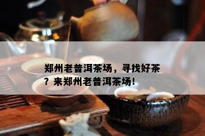 郑州老普洱茶场，寻找好茶？来郑州老普洱茶场！