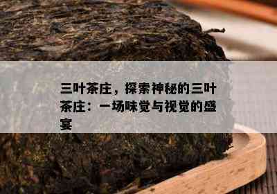 三叶茶庄，探索神秘的三叶茶庄：一场味觉与视觉的盛宴