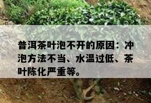 普洱茶叶泡不开的原因：冲泡方法不当、水温过低、茶叶陈化严重等。