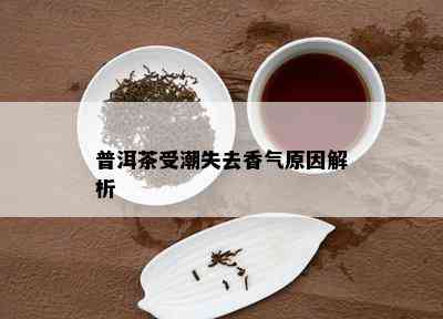 普洱茶受潮失去香气起因解析