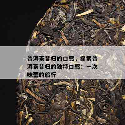 普洱茶昔归的口感，探索普洱茶昔归的特别口感：一次味蕾的旅行