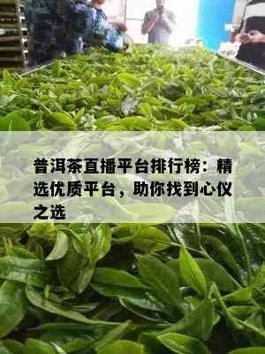 普洱茶直播平台排行榜：精选优质平台，助你找到心仪之选