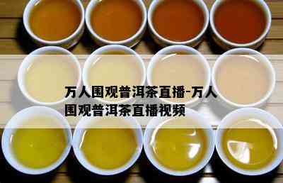 万人围观普洱茶直播-万人围观普洱茶直播视频