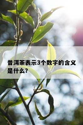 普洱茶表示3个数字的含义是什么？