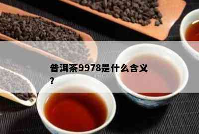 普洱茶9978是什么含义？