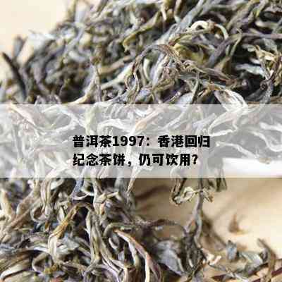 普洱茶1997：回归纪念茶饼，仍可饮用？