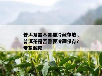 普洱茶需不需要冷藏存放，普洱茶是不是需要冷藏保存？专家解读