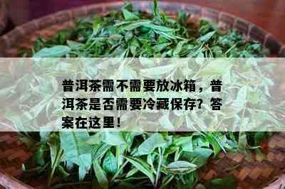 普洱茶需不需要放冰箱，普洱茶是不是需要冷藏保存？答案在这里！