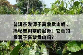 普洱茶发源于高黎贡山吗，揭秘普洱茶的起源：它真的发源于高黎贡山吗？