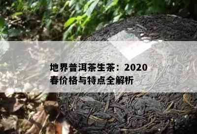 地界普洱茶生茶：2020春价格与特点全解析