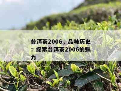 普洱茶2006，品味历史：探索普洱茶2006的魅力