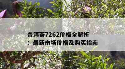 普洱茶7262价格全解析：最新市场价格及购买指南