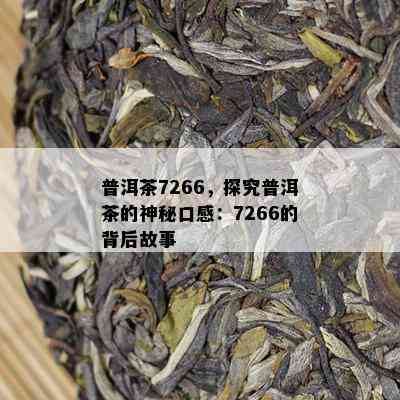 普洱茶7266，探究普洱茶的神秘口感：7266的背后故事