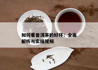 怎样看普洱茶的好坏：全面解析与实操视频