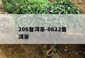 206普洱茶-0622普洱茶