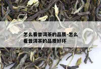 怎么看普洱茶的品质-怎么看普洱茶的品质好坏