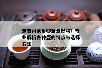 煮普洱茶用哪些壶好喝？专业解析各种壶的特点与选择方法