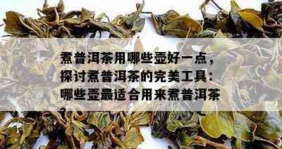 煮普洱茶用哪些壶好一点，探讨煮普洱茶的完美工具：哪些壶最适合用来煮普洱茶？