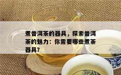 煮普洱茶的器具，探索普洱茶的魅力：你需要哪些煮茶器具？