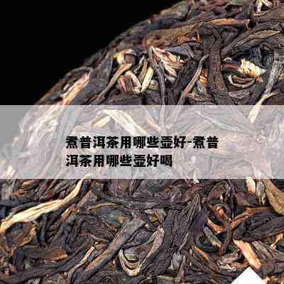 煮普洱茶用哪些壶好-煮普洱茶用哪些壶好喝