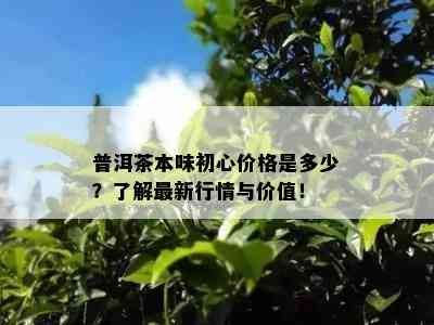 普洱茶本味初心价格是多少？熟悉最新行情与价值！