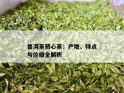 普洱茶初心茶：产地、特点与价格全解析