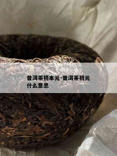 普洱茶初本元-普洱茶初元什么意思