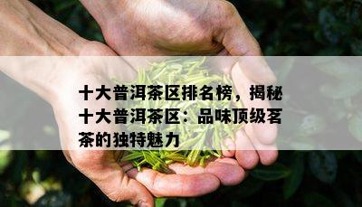 十大普洱茶区排名榜，揭秘十大普洱茶区：品味顶级茗茶的独特魅力