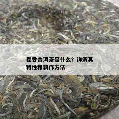 麦香普洱茶是什么？详解其特性和制作方法