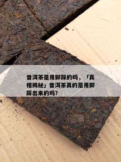 普洱茶是用脚踩的吗，「真相揭秘」普洱茶真的是用脚踩出来的吗？