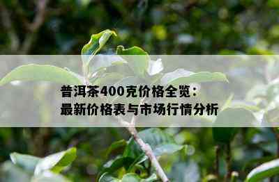 普洱茶400克价格全览：最新价格表与市场行情分析