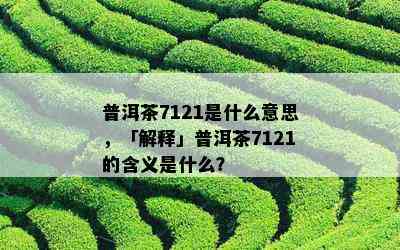 普洱茶7121是什么意思，「解释」普洱茶7121的含义是什么？