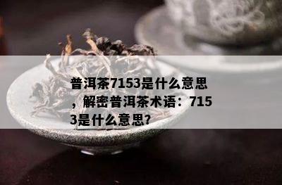 普洱茶7153是什么意思，解密普洱茶术语：7153是什么意思？