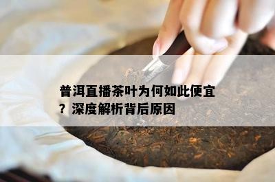 普洱直播茶叶为何如此便宜？深度解析背后起因