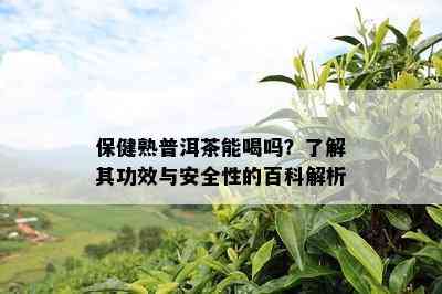 保健熟普洱茶能喝吗？熟悉其功效与安全性的百科解析