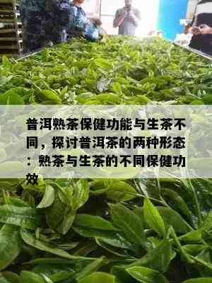 普洱熟茶保健功能与生茶不同，探讨普洱茶的两种形态：熟茶与生茶的不同保健功效