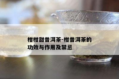 柑柑甜普洱茶-柑普洱茶的功效与作用及禁忌