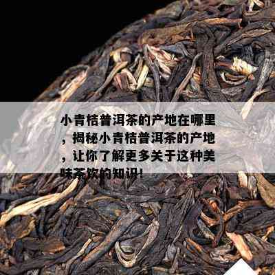 小青桔普洱茶的产地在哪里，揭秘小青桔普洱茶的产地，让你了解更多关于这种美味茶饮的知识！