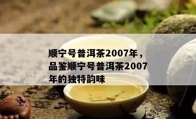 顺宁号普洱茶2007年，品鉴顺宁号普洱茶2007年的独特韵味