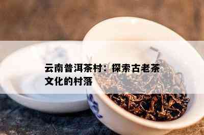 云南普洱茶村：探索古老茶文化的村落