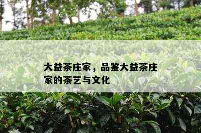 大益茶庄家，品鉴大益茶庄家的茶艺与文化