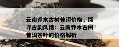 云南乔木古树普洱价格，探寻古韵风情：云南乔木古树普洱茶叶的价格解析