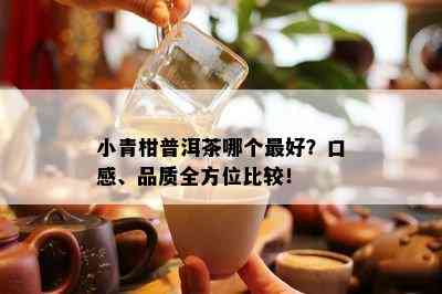 小青柑普洱茶哪个更好？口感、品质全方位比较！